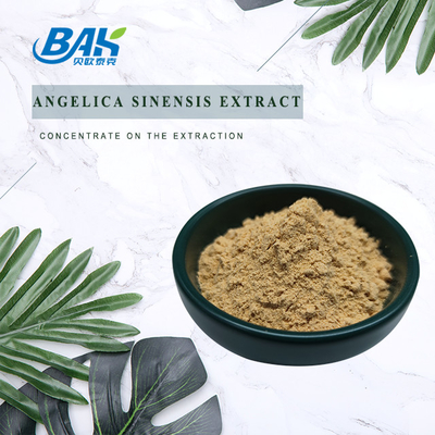 Fábrica profissional chinesa Dang Gui Angelica Sinensis Dong Quai Root Extract Powder Angelica Dahurica Extract