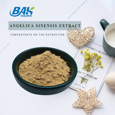 Fábrica profissional chinesa Dang Gui Angelica Sinensis Dong Quai Root Extract Powder Angelica Dahurica Extract