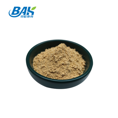 Fábrica profissional chinesa Dang Gui Angelica Sinensis Dong Quai Root Extract Powder Angelica Dahurica Extract