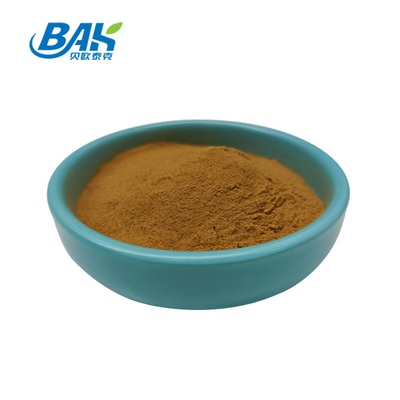 Fábrica profissional chinesa Dang Gui Angelica Sinensis Dong Quai Root Extract Powder Angelica Dahurica Extract