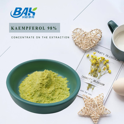 BAK Alta Qualidade Cas 520-18-3 Suplementos de Fortalecimento Imunológico Kaempferol em Pó 50% 90% 98%