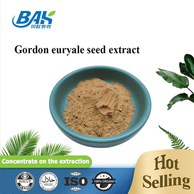 Suplemento de extrato de cogumelo orgânico Halal 10:1 Gordon Euryale Seed Extract Powder