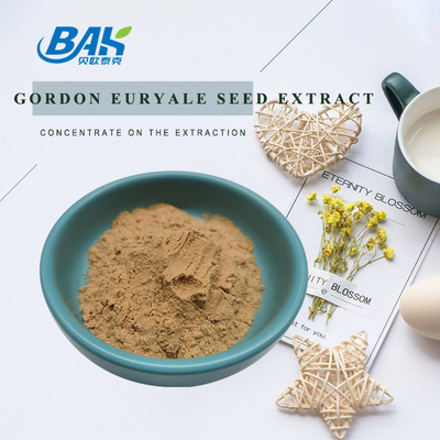 Suplemento de extrato de cogumelo orgânico Halal 10:1 Gordon Euryale Seed Extract Powder