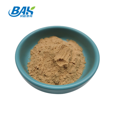Suplemento de extrato de cogumelo orgânico Halal 10:1 Gordon Euryale Seed Extract Powder