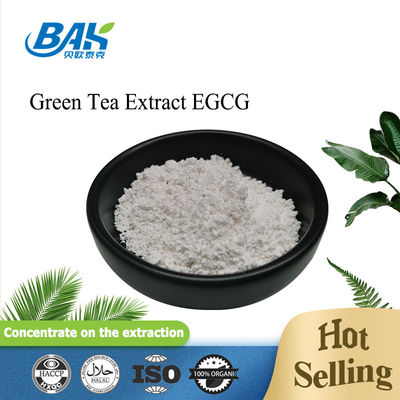 Extracto de chá verde EGCG CAS NO 989-51-5 Epigalocatequina gallato 98% em pó branco