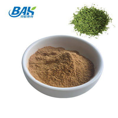 Pó de chá instantâneo solúvel em água Extracto de chá verde em pó MOQ 1 kg