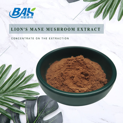 Extrato de cogumelo UV Lion'S Mane para suporte do nervo de memória