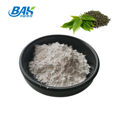 CAS NO 3081-61-6 Extracto de Ervas Naturais Para Uma Dieta Saudável Extracto de Chá Verde em Pó Teanina 98% em Pó