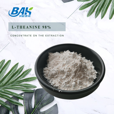 CAS NO 3081-61-6 Extracto de Ervas Naturais Para Uma Dieta Saudável Extracto de Chá Verde em Pó Teanina 98% em Pó