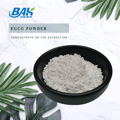 Extracto de chá verde EGCG CAS NO 989-51-5 Epigalocatequina gallato 98% em pó branco