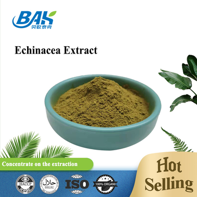 O extrato do Echinacea de Herb Extract Nutrient Supplement Powder pulveriza 1% - 4%