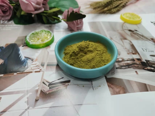 O extrato do Echinacea de Herb Extract Nutrient Supplement Powder pulveriza 1% - 4%