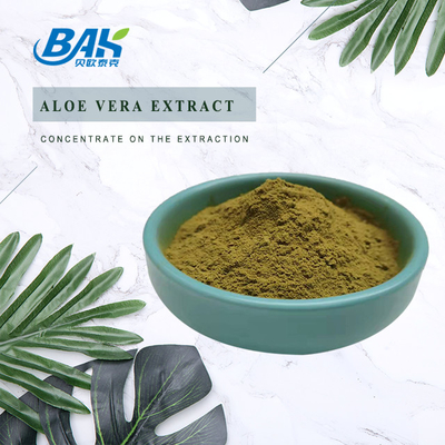 O extrato do Echinacea de Herb Extract Nutrient Supplement Powder pulveriza 1% - 4%
