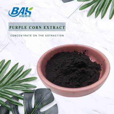 BAK Factory Wholesale Anthocyanin 35% Zea Mays extracto de milho roxo roxo escuro em pó