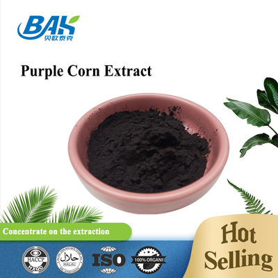 BAK Factory Wholesale Anthocyanin 35% Zea Mays extracto de milho roxo roxo escuro em pó