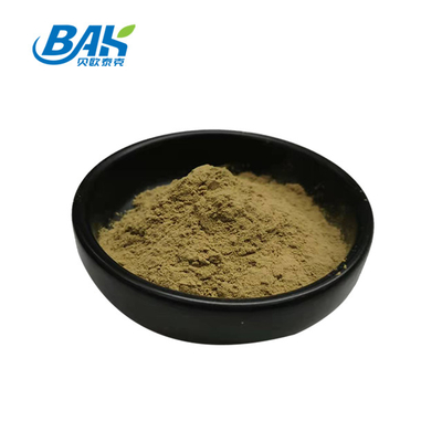 Fábrica por atacado Extracto de hortelã-pimenta pura Suplementos de reforço imunológico Mentha Haplocalyx Briq Brown Powder