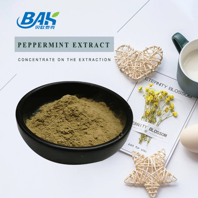 Fábrica por atacado Extracto de hortelã-pimenta pura Suplementos de reforço imunológico Mentha Haplocalyx Briq Brown Powder