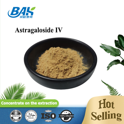 BAK Manufacture Cas 84687-43-4 HPLC ELSD Astragalus Root Astragaloside IV em pó
