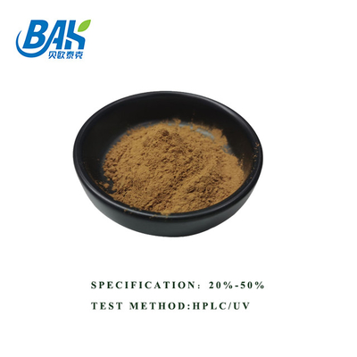 Venda Quente HPLC UV Bacopa Monnieri Extract Pó Amarelo Marrom 100% Pass 80 Mesh