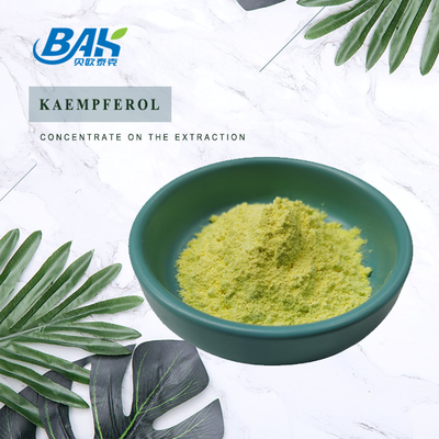 BAK Alta Qualidade Cas 520-18-3 Suplementos de Fortalecimento Imunológico Kaempferol em Pó 50% 90% 98%
