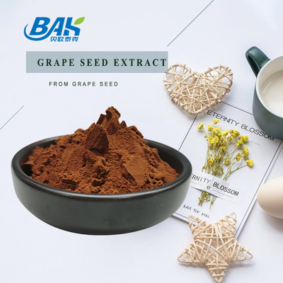 Pó vermelho CAS 84929-27-1 de Brown do extrato da semente da uva de Procyanidine da anticianina