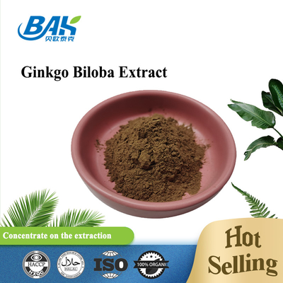 A nogueira-do-Japão Biloba das lactona 6% da flavona 24% extrai o pó de Brown amarelo