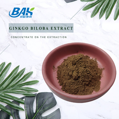 A nogueira-do-Japão Biloba das lactona 6% da flavona 24% extrai o pó de Brown amarelo