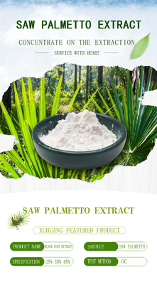 25% - o suplemento à saúde dos homens de 85% considerou o pó do extrato do fruto do Palmetto