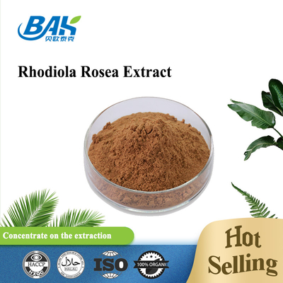 Suplemento Orgânico de Saúde Masculina Rosavin 1%-10% Rhodiola Rosea L Extract Red Brown Powder