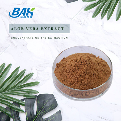 Suplemento Orgânico de Saúde Masculina Rosavin 1%-10% Rhodiola Rosea L Extract Red Brown Powder