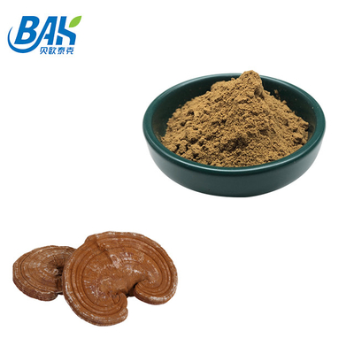 200 Mesh Pó Fino Quebrado Ganoderma Lucidum Spore Powder