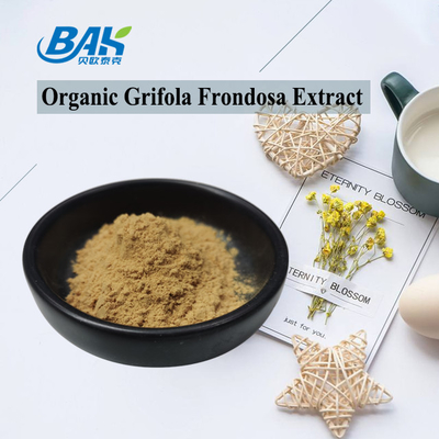 Extracto Orgânico Grifola Frondosa Beta Glucano 70% Extracto de Cogumelo Suplemento UV VIS em pó