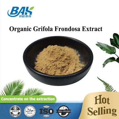Extracto Orgânico Grifola Frondosa Beta Glucano 70% Extracto de Cogumelo Suplemento UV VIS em pó