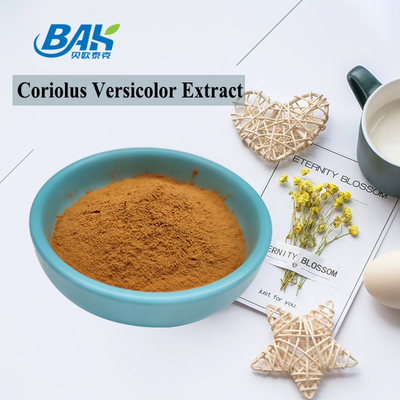 10%-50% do suplemento Versicolor ao extrato do cogumelo de Coriolous pó amarelo de Brown