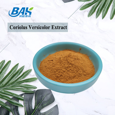 10%-50% do suplemento Versicolor ao extrato do cogumelo de Coriolous pó amarelo de Brown