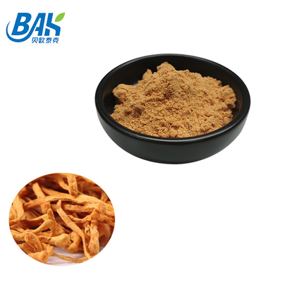 Suplemento à proteção do fígado do extrato de Cordyceps Militaris pó de 1% - de 6% Cordycepin