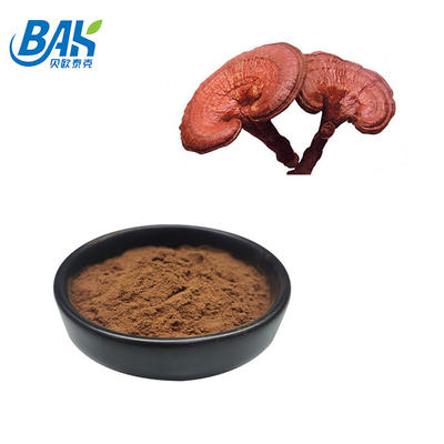 200 Mesh Pó Fino Quebrado Ganoderma Lucidum Spore Powder