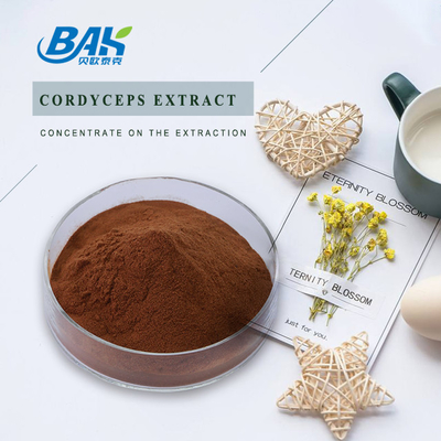 O suplemento Cordyceps à saúde dos homens de Cordycepin 5% 10% 20% extrai o pó de Brown