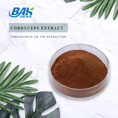 O suplemento Cordyceps à saúde dos homens de Cordycepin 5% 10% 20% extrai o pó de Brown
