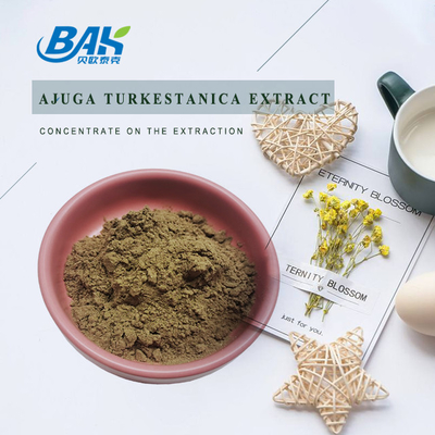 Extrato 2%-20% de Turkestanica do Ajuga