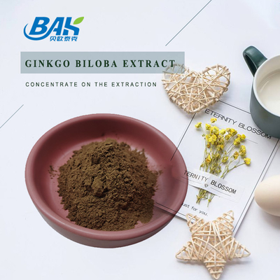 CAS 90045-36-6 Extracto de Ginkgo Biloba Glicósidos de Flavona 24% Terpenos Lácteos 6%