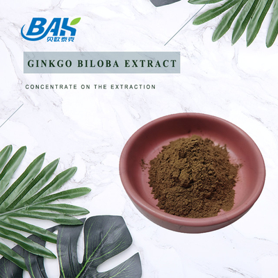 CAS 90045-36-6 Extracto de Ginkgo Biloba Glicósidos de Flavona 24% Terpenos Lácteos 6%