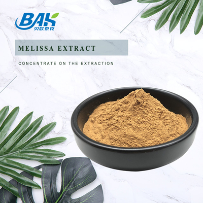 Extrato kosher Halal do erva-cidreira de Melissa Leaf Extract Rosmarinic Acid