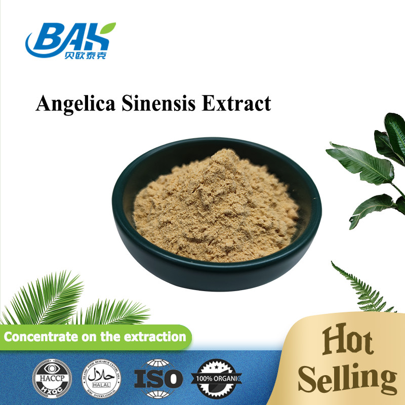 Fábrica profissional chinesa Dang Gui Angelica Sinensis Dong Quai Root Extract Powder Angelica Dahurica Extract