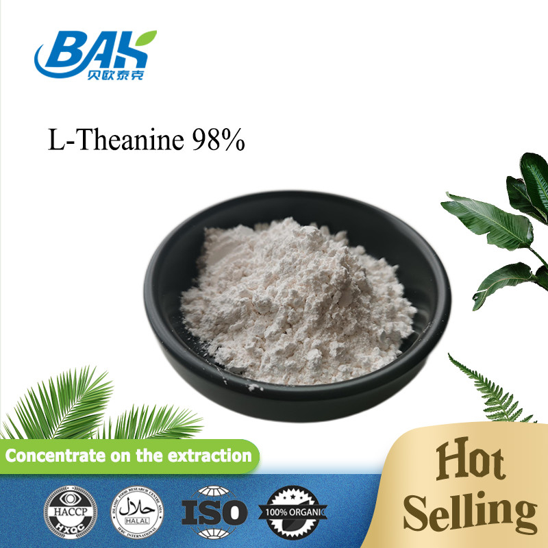 CAS NO 3081-61-6 Extracto de Ervas Naturais Para Uma Dieta Saudável Extracto de Chá Verde em Pó Teanina 98% em Pó