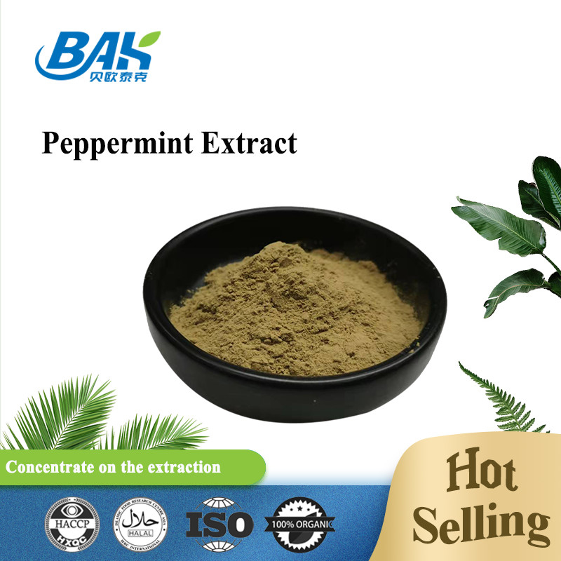 Fábrica por atacado Extracto de hortelã-pimenta pura Suplementos de reforço imunológico Mentha Haplocalyx Briq Brown Powder