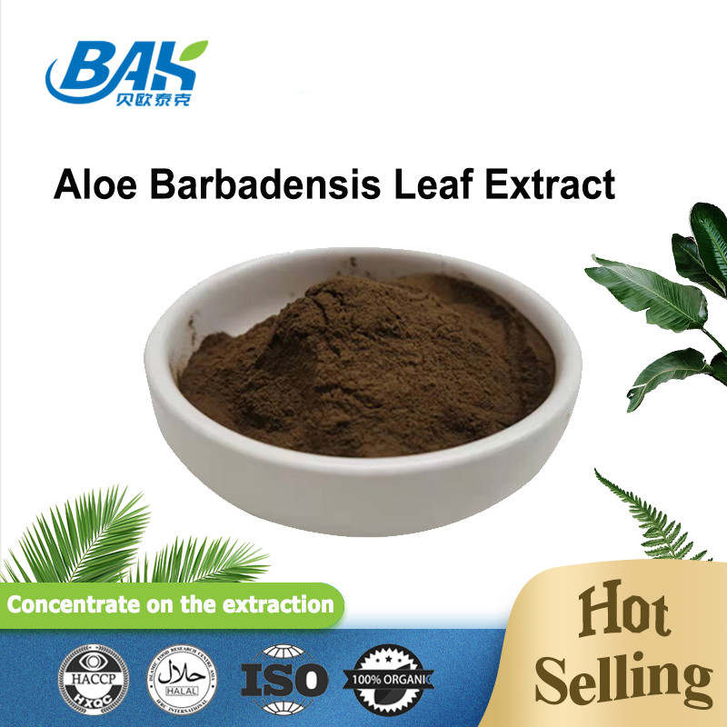 100/1 200/1 de pó fino do Cas 85507-69-3 Brown do extrato da folha de Barbadensis do aloés