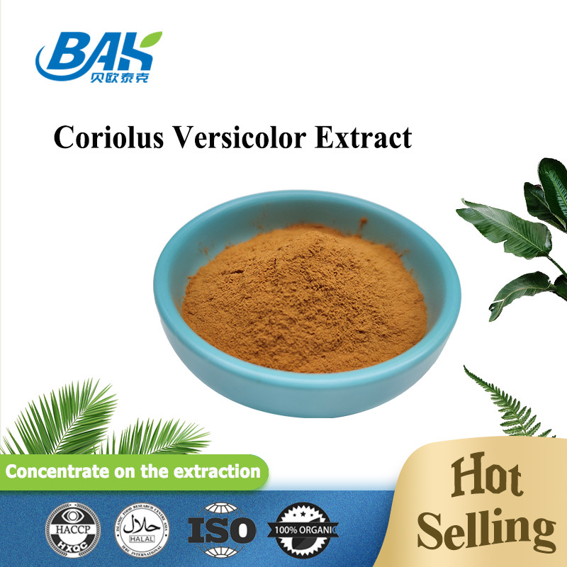 10%-50% do suplemento Versicolor ao extrato do cogumelo de Coriolous pó amarelo de Brown