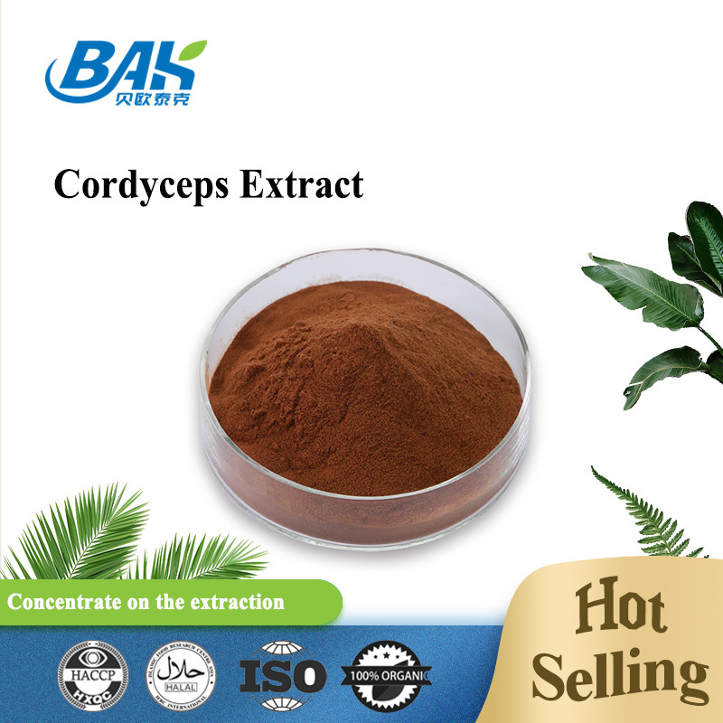 O suplemento Cordyceps à saúde dos homens de Cordycepin 5% 10% 20% extrai o pó de Brown