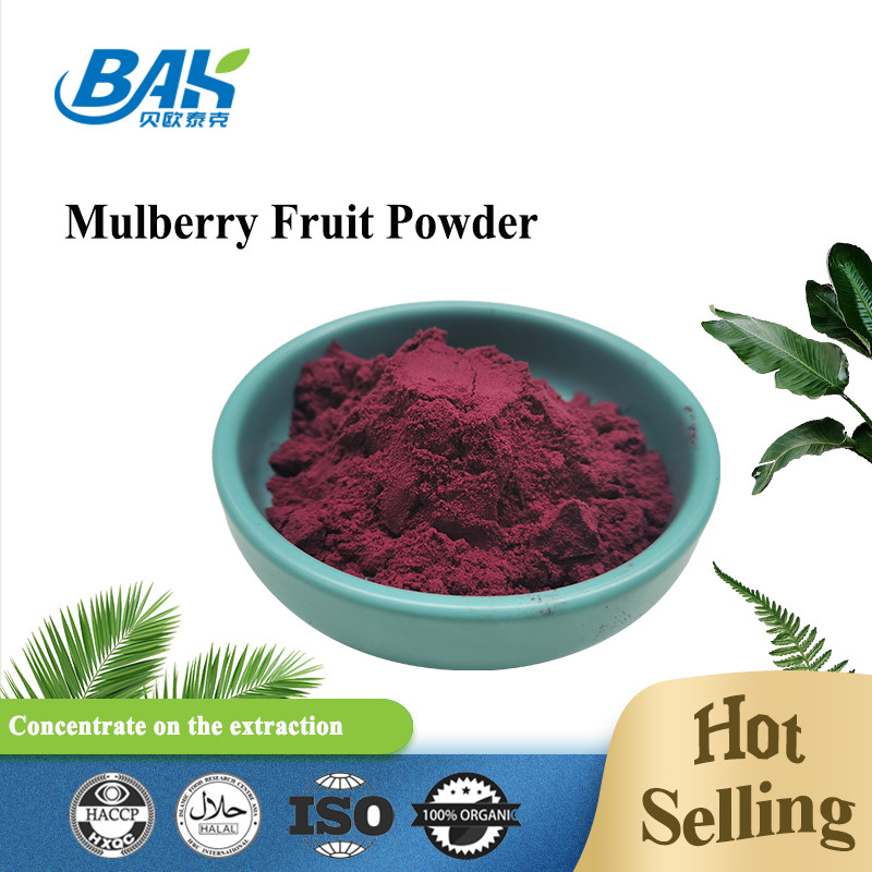 Morus Alba L Mulberry Fruit Purple Powder Local de armazenamento fresco e seco